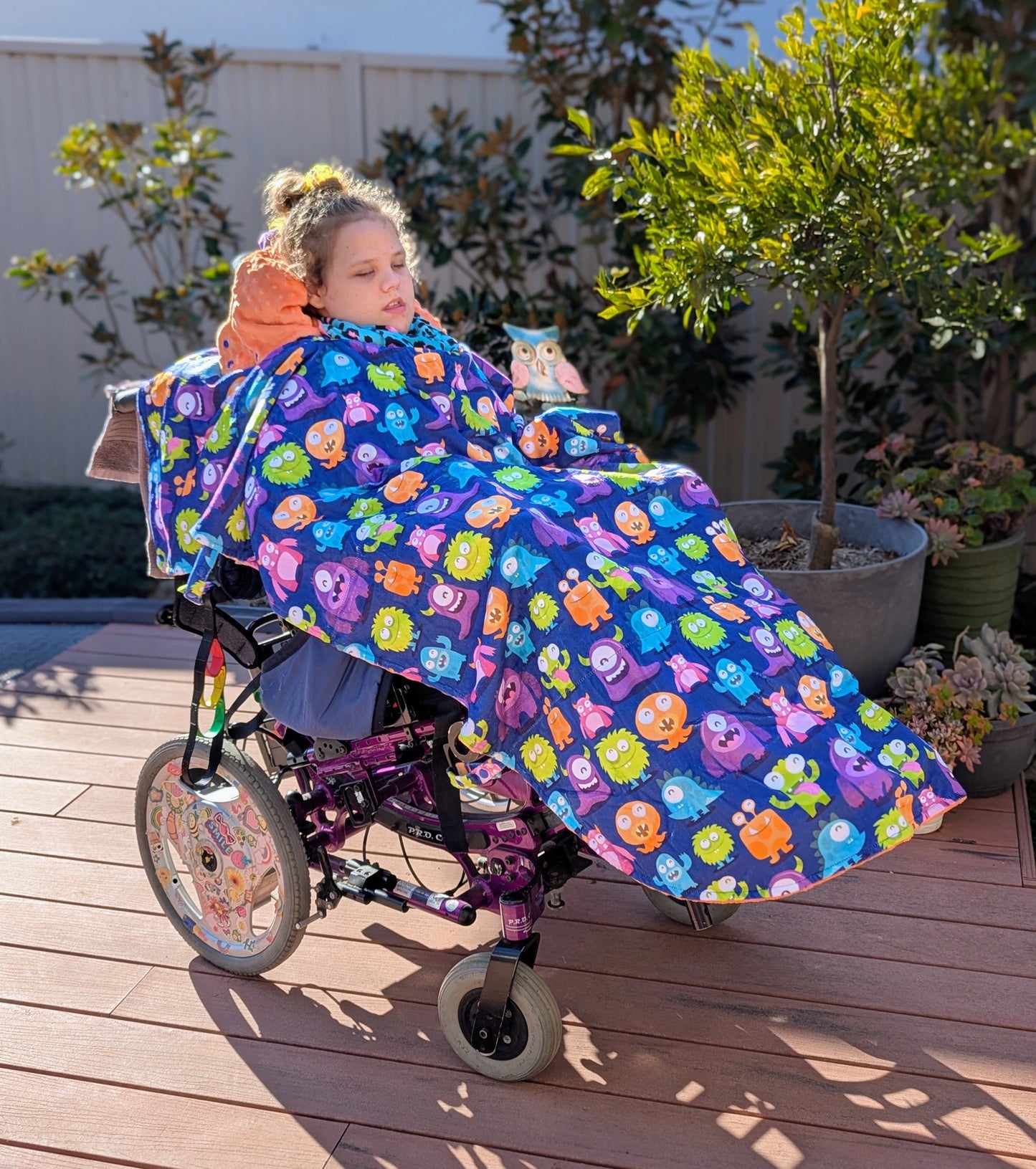 Minky Plush Blanket (Medium Warmth)